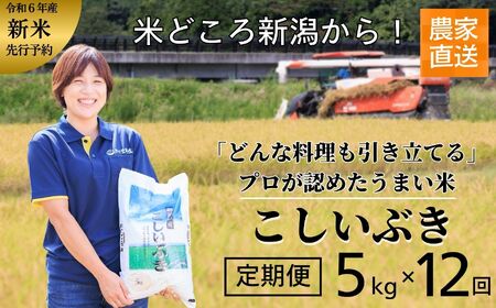 【12ヶ月定期便】『新潟産こしいぶき』5kg×12回お届け(計60kg) プロが認めたうまい米 令和5年産 新潟産コシイブキ 新潟県糸魚川産 農家直送 おいしいお米をお届けします。