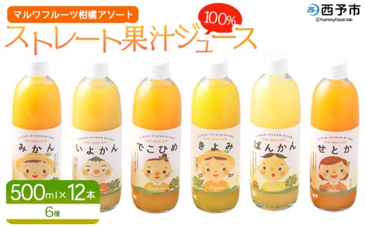 ＜マルワフルーツ柑橘アソート 100％ストレート果汁ジュース 500ml×12本＞ 詰め合わせ セット スイーツ 果物 フルーツ みかん オレンジ 柑橘 清見 でこひめ 河内晩柑 伊予柑 せとか 特産品 愛媛県 西予市【常温】『1か月以内に順次出荷予定』