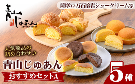 No.1207 青山じゅあんおすすめセットA(5種・合計17個入) 鹿児島 日置市 特産品 お菓子 洋菓子 菓子 おかし スイーツ おやつ カスタード クリーム 冷凍 冷凍配送 ギフト 【青山じゅあん】