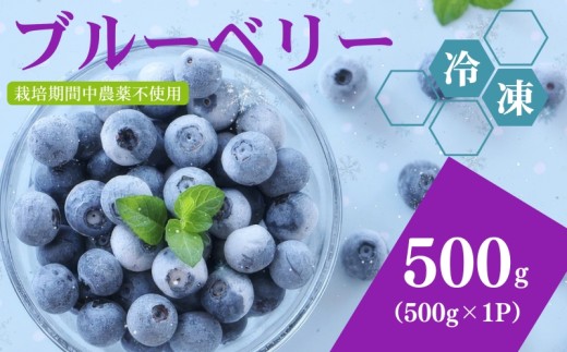 冷凍ブルーベリー500g（500g×1パック）2026年シルクファーム産
