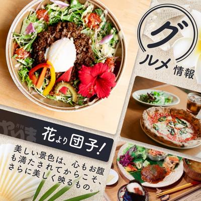 ふるさと納税 石垣市 八重山諸島のローカル誌『月刊やいま』(毎月1日発行　1月・2月は合併号) |  | 01