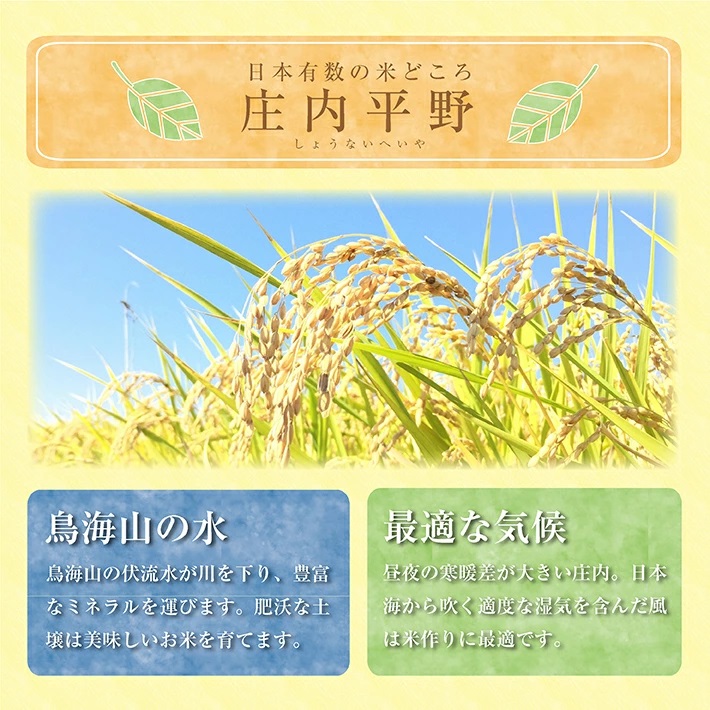 庄内産つや姫5kg（令和7年産米）3月中旬