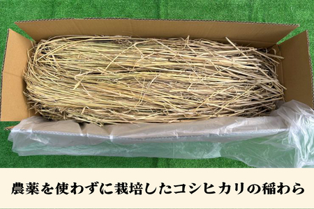 [先行予約] 稲わら・無農薬 2箱 [JAS有機認定又は転換中 日光ダイヤ舞の藁] 令和7年度｜2025年度 有機栽培稲わら 無農薬 オーガニック 国産 産地直送 わら納豆づくり しめ縄づくり 正月飾