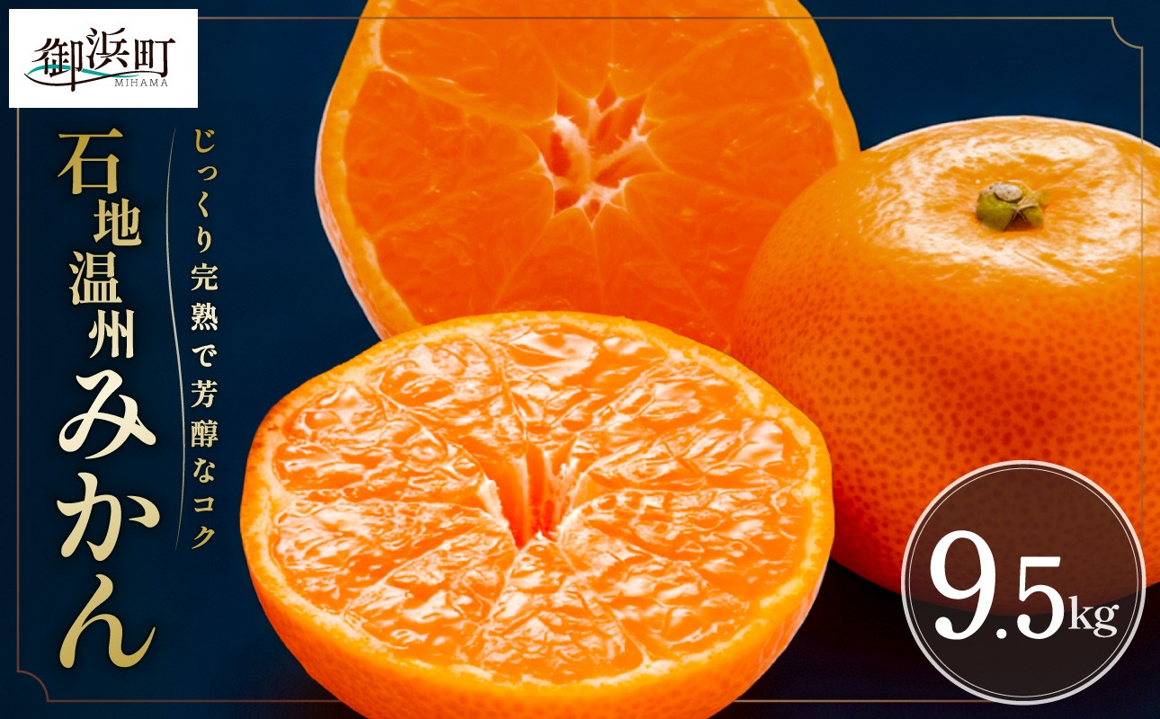 
                  ミカファームの石地温州みかん9.5キロ【期間限定 数量限定 果物 フルーツ みかん 温州みかん 石地温州みかん デザート 9.5kg 三重県 御浜町】
                