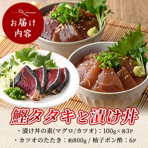 カツオのたたき(約800g)とマグロ･カツオの海鮮漬け丼(各100g×3袋)セット 山川町漁協 IB039-003 海鮮 海鮮 