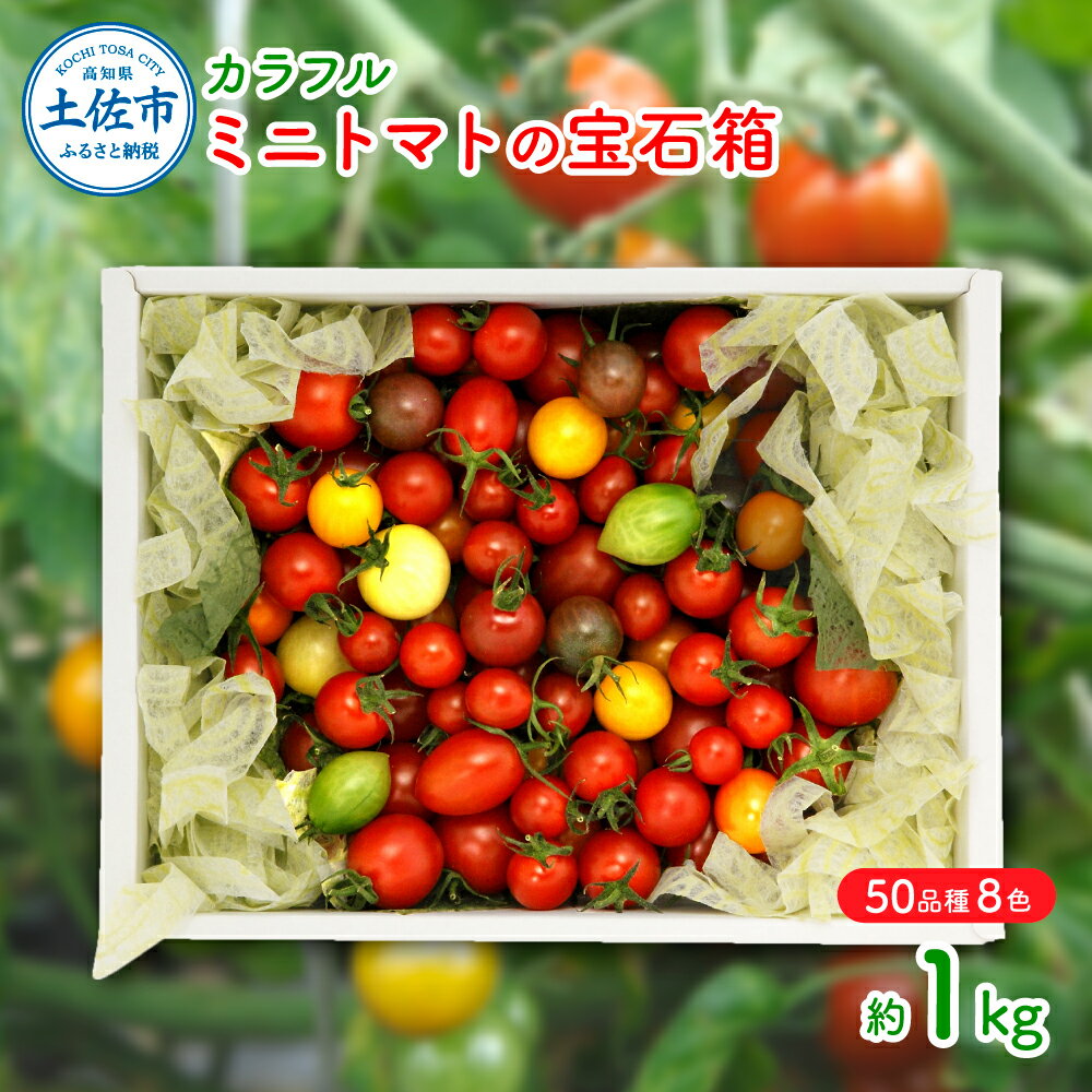 【ふるさと納税】カラフルミニトマトの宝石箱（約1kg） トマト ミニトマト とまと カラフルミニトマト 詰め合わせ カラフル トマト とまと 美味しい 野菜 高知県産【ファーム輝】[BQBM006]