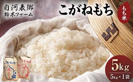 令和7年産米 白河表郷 こがねもち もち米 5kg 米 コメ ごはん ご飯 食品 F24R-203