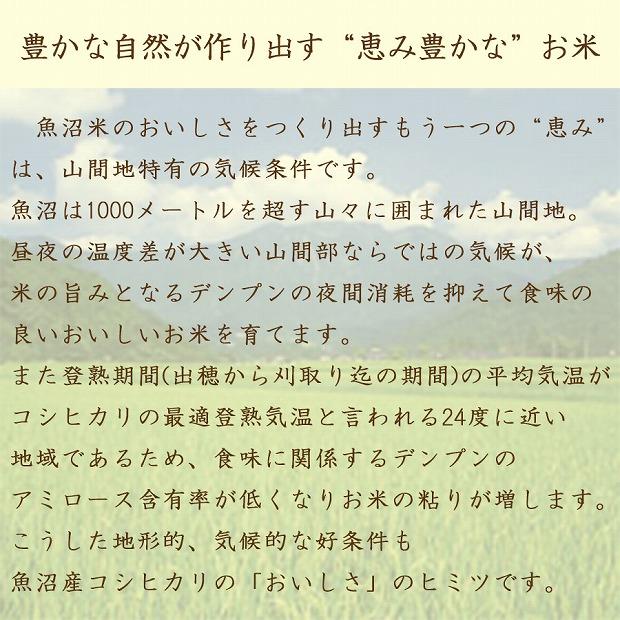 【定期便全6回】無洗米新潟県魚沼産コシヒカリ10kg