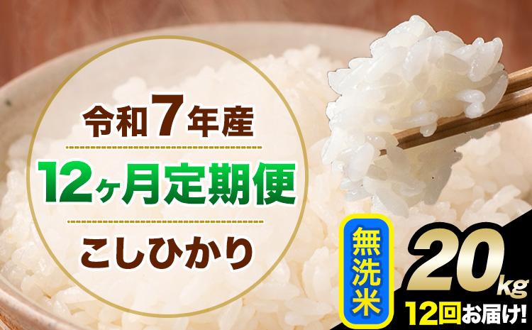 【12ヶ月定期便】令和7年産 定期便 こしひかり 無洗米 定期便 20kg 精米 熊本県産(南阿蘇村産含む) 単一原料米 南阿蘇村《お申し込みの翌月から出荷》---kh7tei_516000_20kg_mo12_mna_m---
