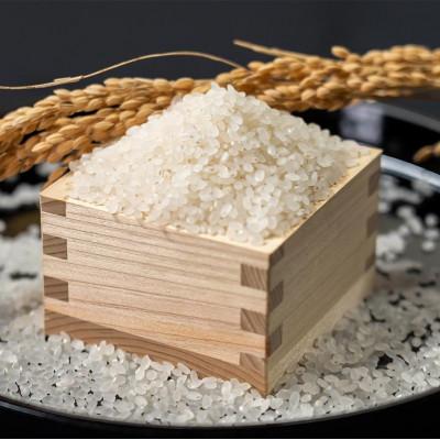 ふるさと納税 新庄市 新米　極のはえぬき(精米)5kg　令和8年産 |  | 01