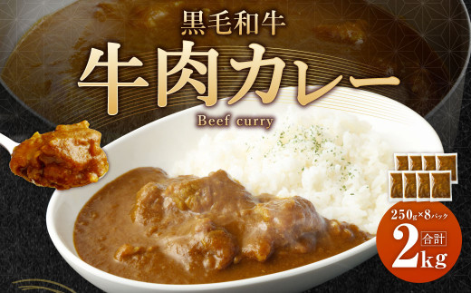 
黒毛和牛 牛肉カレー (250g×8パック) 計2kg
