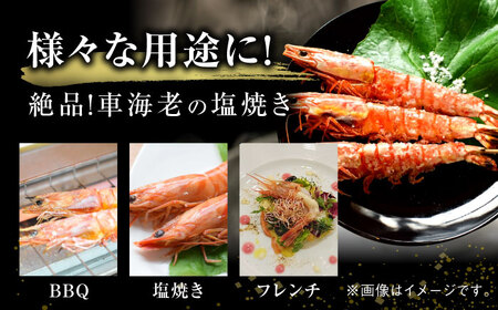 ＜小分け包装/野外BBQにも＞伊万里特産 車海老の塩焼き 計8尾 佐賀県/株式会社 拓水 伊万里クルマエビセンター[41AEAJ004]