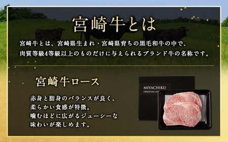 ＜宮崎牛 ロースステーキ 2枚 500g＞翌月末迄に順次出荷【c1191_mc_x2】 新生活応援 卒業祝い 就職祝い 入学 卒業 お花見 引越し
