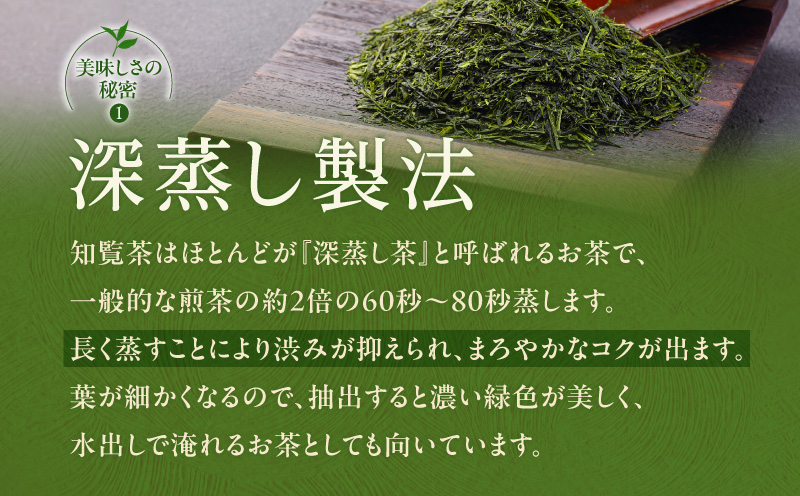 特上知覧茶ティーバッグ　K345-001