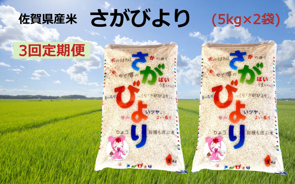 
            【定期便】【3回】佐賀県産米さがびより(5kg×2袋)
          