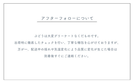 TK08-24A ぶどう クイーンルージュ®  2kg／2024年9月中旬頃～配送予定 種なし 希少なぶどうです