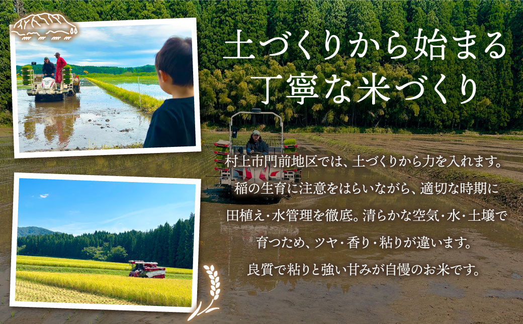 【新米受付・令和8年産米】新潟県村上市　岩船産コシヒカリ6kg（2kg×３袋）　1103001N