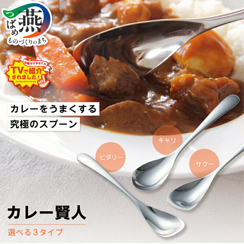 【ふるさと納税】 テレビ朝日「日曜マイチョイス」 ＆ NHK総合「鶴瓶の家族に乾杯」で紹介！ カレー賢人 「キャリ」 「サクー」 「ヒダリー」 選べる カレースプーン mottecotto 携帯ケース ステンレス 食器 カレー スプーン カトラリー 山崎金属工業 新潟県 燕市 燕三条
