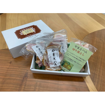 
            2022年11月発送開始『定期便』ゴールドシー食品ハム詰め合わせセットD 全3回【5075357】
          