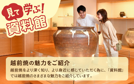 利用券 9,000円分 福井県陶芸館『 見て作って！使って親しむ！［越前焼］』【体験 陶芸 越前焼き 陶器 制作 電動ろくろ 手ひねり 絵つけ 茶 抹茶 茶苑 茶碗 カップ 皿 ご飯茶碗 陶芸教室 資