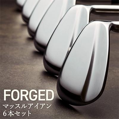 ふるさと納税 市川町 MF-H　マッスルバックアイアン　#5〜Pw　6本セット　270BD02N