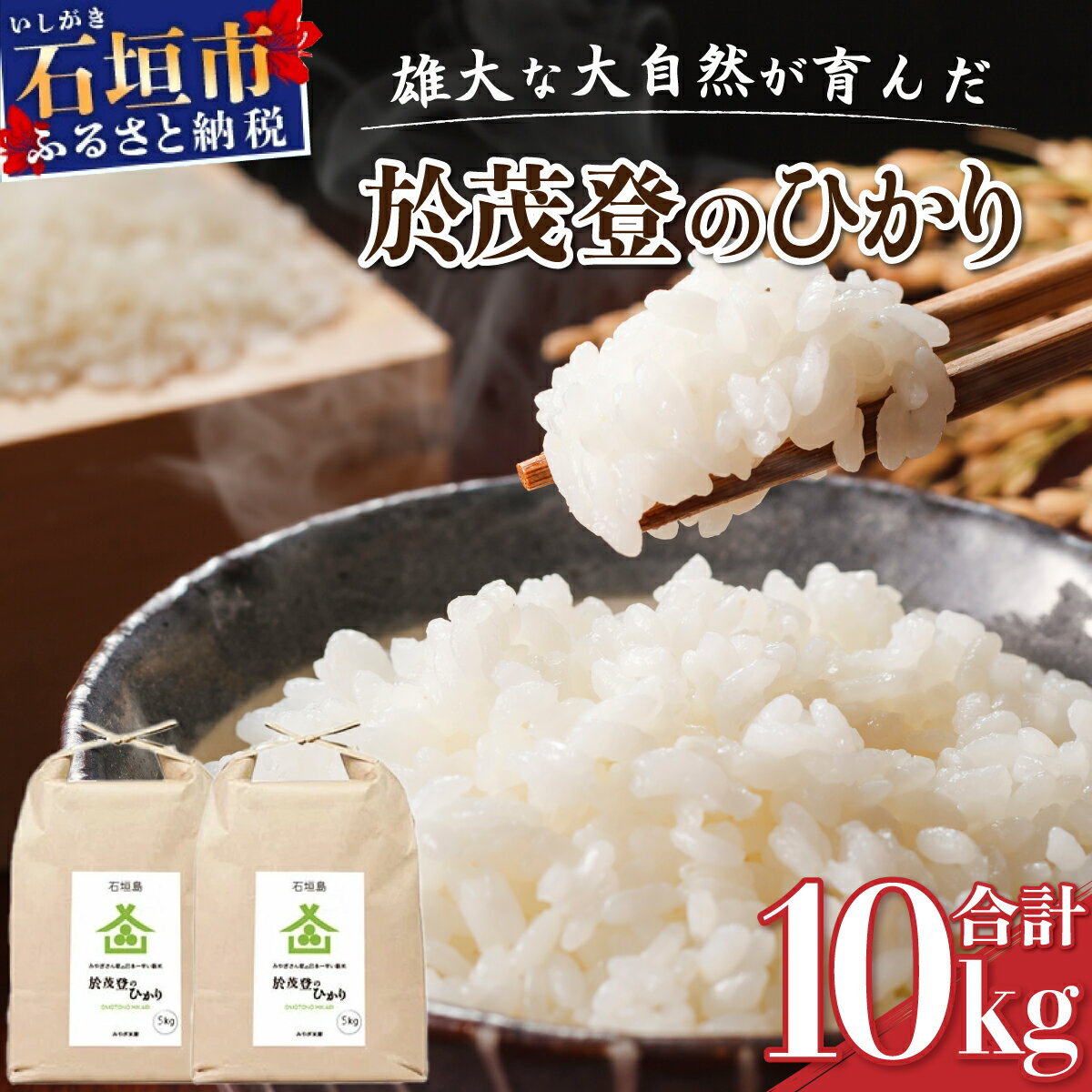 【ふるさと納税】石垣島産 於茂登(おもと)のひかり 10kg みやぎ米屋 | 日本一早い新米の産地 お米 こめ コメ 産地直送 旬 しきゆたか 沖縄県 石垣市 送料無料