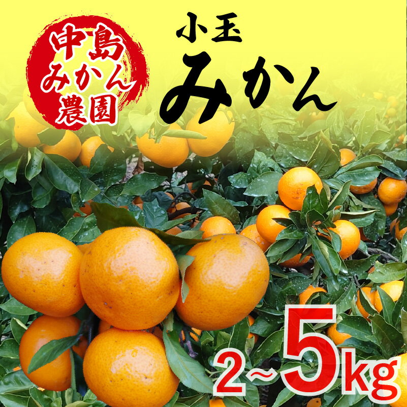【ふるさと納税】 【2025年12月から発送】中島産 温州みかん 小玉 2kg / 5kg ｜ みかん ミカン 蜜柑 不揃い 柑橘 果物 フルーツ 松山 愛媛 みかん ミカン 蜜柑 中島みかん 小玉蜜柑 不揃いミカン 温州みかん ミカン