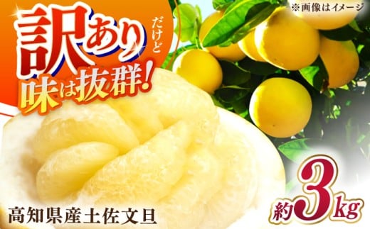 【先行予約】高知県産 訳あり 土佐文旦 約3kg 〈2026年2月〜発送〉 / ぶんたん ブンタン 文旦 訳あり わけあり 訳アリ 傷 シミ 大容量 季節限定 期間限定 旬 果物 フルーツ みかん 柑橘 高知 土佐 特産品【株式会社　四国健商】 [ATAF151]
