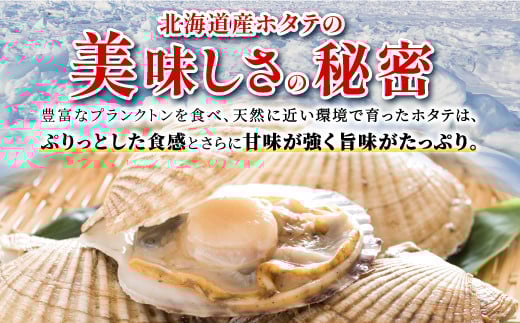 オホーツク産お刺身用ホタテ特大サイズ　 750g (250g×3) ホタテ ほたて 訳あり 大粒 訳ありほたて 訳ありホタテ ほたて貝柱 ホタテ貝柱 北海道産ほたて 北海道産ホタテ 海鮮 特大 大粒ほ
