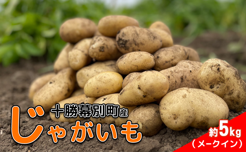 北海道 十勝 幕別産 じゃがいも メークイン 約5kg 【横山農園】 野菜 根菜 食材 しっとり 崩れにくい 煮込み料理 炒め物 肉じゃが カレー シチュー 北海道のジャガイモ