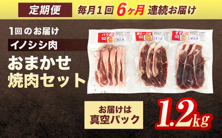 【6回定期便】天然イノシシ肉 おまかせ焼肉セット 1,200g (ロース・モモ・バラ) / ジビエ 猪肉 いのしし肉 ジビエ肉 肉じゃが用肉 イノシシ いのしし焼肉 長崎ジビエ 猪 ぼたん鍋 鍋肉 猪