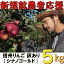 【ふるさと納税】 訳あり りんご 5kg 【新規就農者応援】 シナノゴールド 伊藤 快 果物 フルーツ 先行 予約 信州 麻績村 不揃い 規格外 家庭用