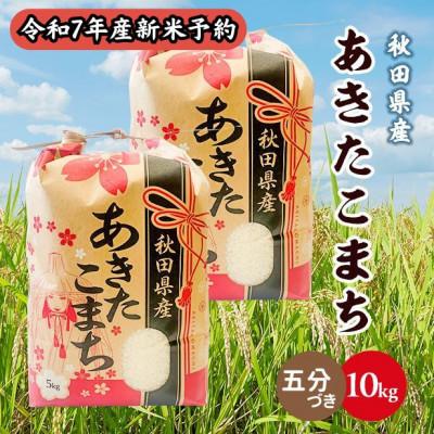 ふるさと納税 潟上市 【新米予約】令和7年産 秋田県産あきたこまち 10kg(5kg×2袋)(五分づき)9月下旬〜順次発送