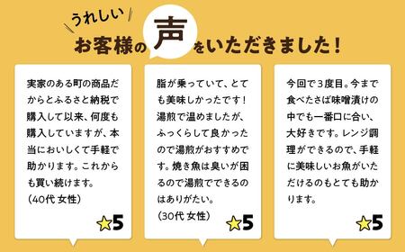 さば 味噌漬け 8枚 【さば】