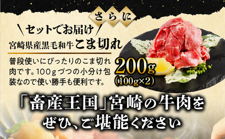 宮崎牛モモ・バラ焼肉・黒毛和牛こま切れセット(計1kg)　肉 牛 牛肉