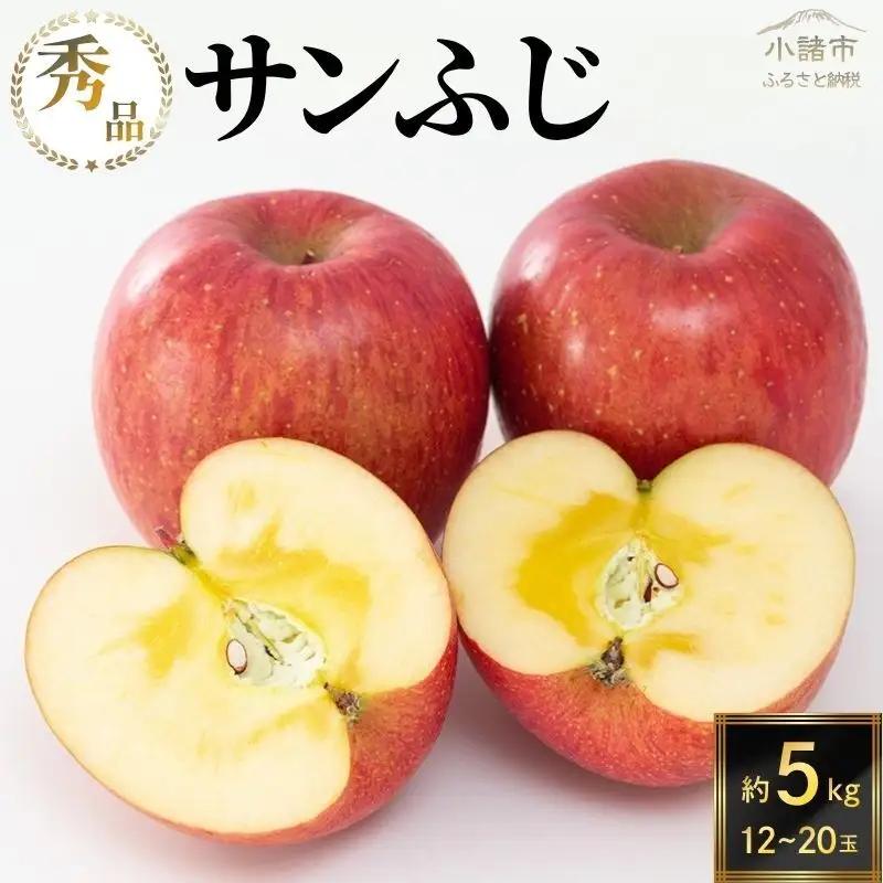 りんご サンふじ 秀品 約5kg 12～20玉入 リンゴ
