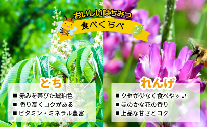 国産純粋完熟はちみつ大瓶セット(れんげ・とち)580g×2本[16-832]