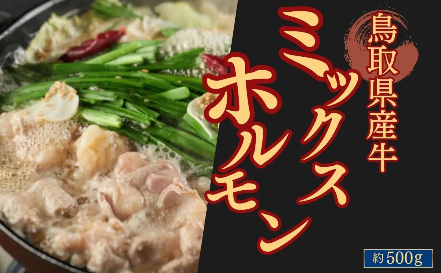Y1026 鳥取県産牛ミックスホルモン 約500g