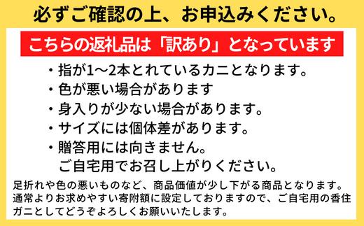 【訳あり 香住ガニ（ベニズワイガニ）釜茹で ボイル 大きめサイズ 約600g×3匹（約1.8kg以上）冷蔵】5月19日までのご入金分は5月中に発送。5月20日以降のご入金分は9月中旬以降順次発送 カニ