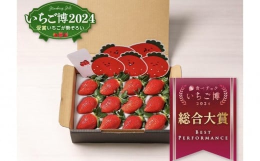 【いちご博総合大賞】やよいひめ 約400g※2026年1月上旬～4月下旬頃に順次発送予定