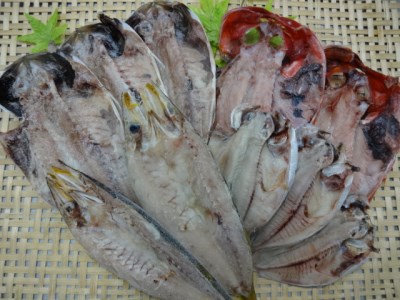 漁協直送！ 干物詰め合わせ　【 干物 干物ギフト 干物 伊豆 干物 人気 ひもの ふるさと納税 干物 】