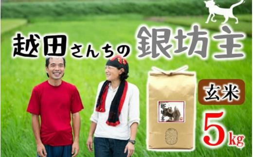 自然栽培米 越田さんちの銀坊主（玄米）5kg 令和7年産