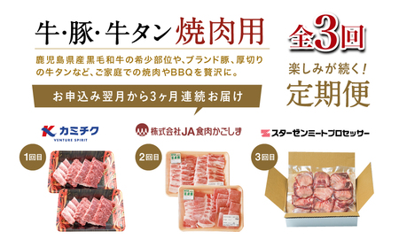 【厳選焼肉定期便】黒毛和牛・ブランド豚・牛タン 全3回コース 牛肉 焼肉 焼き肉 BBQ バーベキュー 豚肉 バラ ロース 牛タン お肉 小分け 冷凍 定期配送 カミチク スターゼン JA食肉かごしま