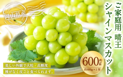 ご家庭用 岡山県産 シャインマスカット 晴王 約600g （ 600g×1房 ） ぶどう ブドウ 葡萄 マスカット 果物 くだもの フルーツ 国産 【 2026年8月下旬～11月下旬発送予定 】