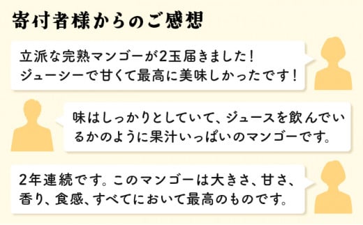 KU019 【令和8年発送分　先行予約！】＜数量限定＞ 串間産完熟マンゴー（2L×2玉）