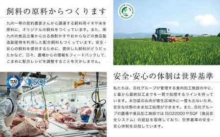 カミチクファーム　黒毛和牛食べ比べ焼肉セット　計600g＜1.7-35＞