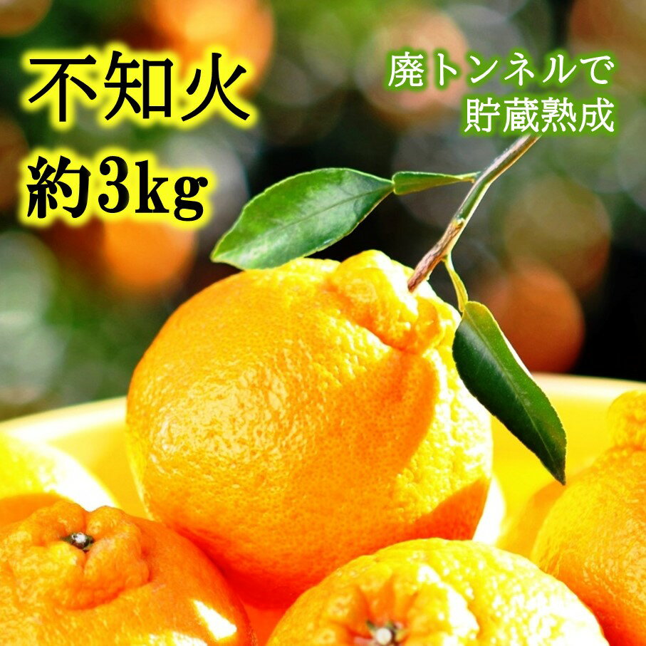 【ふるさと納税】冷蔵発送/岸田果樹園の不知火 約3kg