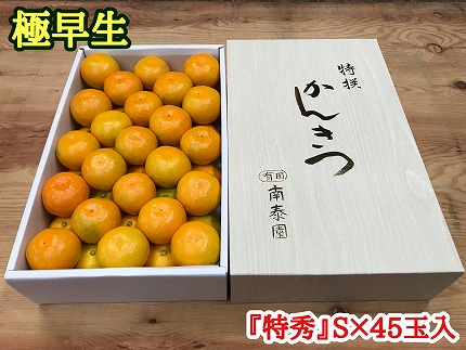 極早生 有田 みかん 化粧箱 特秀 S サイズ 45玉入 南泰園 和歌山 有田みかん