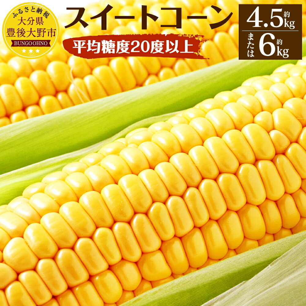 【ふるさと納税】【先行予約】 平均糖度20度以上 スイートコーン ＜容量が選べる＞ 約4.5kg前後 約6kg前後 とうもろこし とうきび 野菜 朝採れ もぎたて 当日出荷 産地直送 芦刈農産 新鮮 旬 夏 お中元 冷蔵 送料無料【2025年6月下旬~7月下旬発送予定】