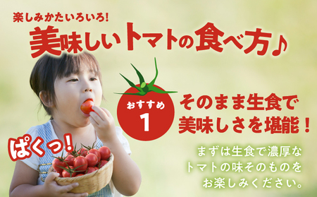 ≪期間限定≫オリジナルブランド「フルーツトマトゆき」計2kg ミニトマト 野菜 サラダ 国産_T047-004